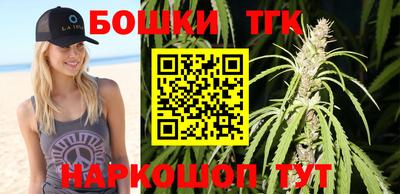 индика Лесосибирск