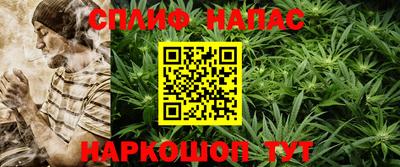 индика Лесосибирск