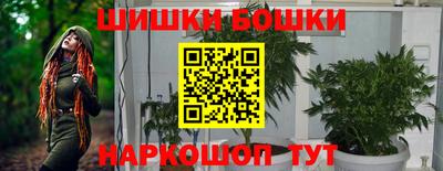 индика Лесосибирск