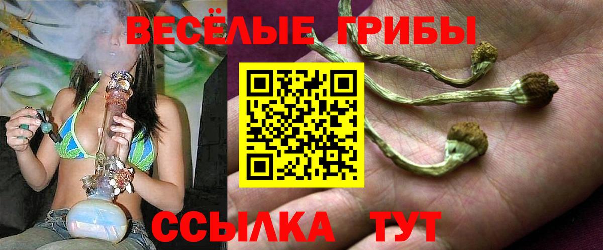 Псилоцибиновые грибы Psilocybine cubensis  Вход с VPN  Чайковский 